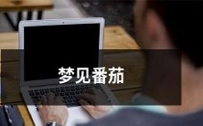 亲身经历:夜梦中与番茄结缘,探究植物之美、人生意义与自我认知的灵魂独白