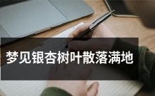 做梦时目睹银杏树掉落满地树叶的梦境体验