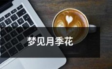 在梦中看到绚丽多彩的月季花的美妙体验