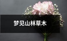 在醒来前的那一刻,脑海里闪现的神奇景象——梦见茂密的山林、清澈的流水、繁茂的草木和鸟儿的欢鸣声