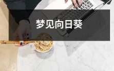 在还未觉醒的晨曦中,我在梦里遇见了瞪着温暖目光的向日葵花朵,别有一番滋味萦绕心头