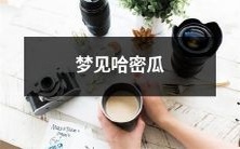 主角的梦中遇见哈密瓜,经历了奇幻的冒险之旅!