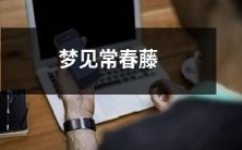 在梦中看见盘绕的常春藤植物:关于梦境和自我意识的阐释和解读