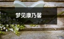 在梦中看到了粉色康乃馨:一段令人感动的夜之旅程