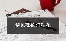 入梦世界:我游走在洋槐花海中,遇见槐花芳香满溢的梦境