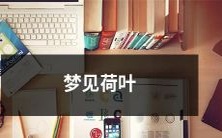 在我沉睡之际,沉浸在美梦中:梦见风吹荷叶摇曳、水波荡漾的如诗如画场景!