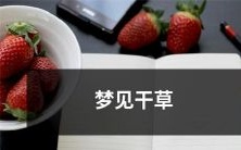 堆的意义和象征意义是什么:探究梦境与人类文化心理的联系