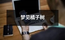 在梦中看到一棵美丽而硕果累累的橘子树:探索象征意义,思考梦境解析及其对心理意义的启示