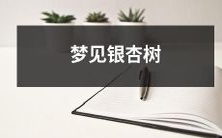 在梦中见到壮丽的银杏树:一个寓意深刻、富有启示性的梦境体验