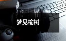 在长长的夜晚,我沉入梦境中,惊喜地发现自己置身于一片广阔的榆树林中:一场缤纷的梦见榆树之旅