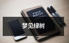 在清晨清风中,我看到了一片长满翠绿树木的美丽景象——如梦似幻的绿树梦境