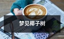 在美丽的夜晚里,我经历了梦幻般的旅程:沐浴在闪烁着璀璨星光的热带夜晚,眼前突然冒出一棵高耸的椰子树,遥望其顶,岛上的霓虹灯光闪耀着华丽耀眼的光芒,这一刹那,我仿佛来到了热带水域的第八大奇迹,并陷入了沉醉其中!