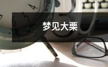 纷落枝头的巨大栗子,如梦幻般萦绕心间的美妙想象