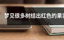 在梦中观赏到一幅充满着无数树木满载红色果实的景象