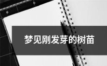 在梦中看到刚刚发芽的新树苗的奇妙体验