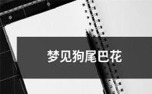 梦见一朵开在狗尾巴上的华丽花朵 - 狗尾巴花的梦境