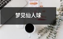 沉醉在惊奇中:我竟梦见了华美神秘的仙人球!