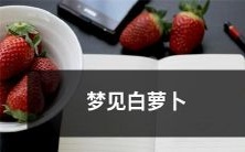 在梦境中看到了洁白无瑕的纤细萝卜,一场令人难忘的梦想之旅
