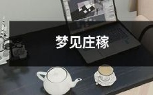 在梦里看到翠绿的田野,麦浪拂过颀长身躯,听到秋风吹过沉甸甸的稻穗声,梦见庄稼的熟悉气息拂过脸庞