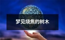 睡眠中窥见黑烟弥漫的景象:我在梦中目睹烧焦的树木