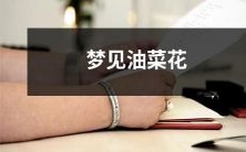 在黄金田野上沉醉:我做了一个美妙的油菜花之梦