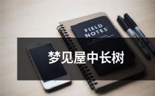 如何解读梦见自己所在的房屋内长满树木的梦境?