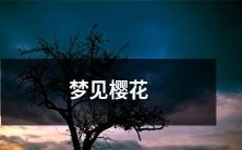 缤纷绽放的樱花缭绕梦境:戏谑春光中的美妙幻象