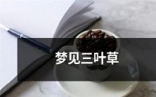 在梦中遇见了一朵幸运的三叶草:一个充满奇幻色彩的梦境体验!