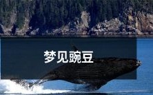的一生:从萌芽到成熟的探索历程