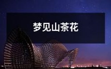 在清晨的梦境中遇见迎风绽放的山茶花园:一场美丽的自然之恋
