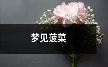 在睡梦中探寻着健康与富足的象征——梦见色泽翠绿、创意无限的菠菜