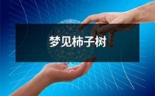 在梦中遇见柿子树的美妙体验:回忆与解读过程中的感悟与思考