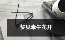 在梦境中目睹牵牛花怒放之景,情感起伏之中的心路历程