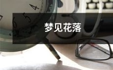 在梦中目睹盛开的鲜花缓缓飘落的神秘景象