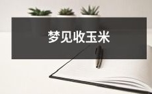 在梦中看到自己正在收割大量玉米,因可能意味着某种物质和精神上的丰盈和充实