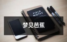 在梦中遇见芭蕉苑景,静思自然之美的惊人体验