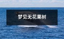 在梦中观赏无花果树的生长过程和结果的奇妙体验