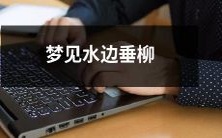 沿水听风吹垂柳:我在梦中沿着清澈水岸,享受着微风婉转吹拂着优美的垂柳