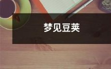 梦见一个古老而神秘的豆荚,它传递着隐秘的启示和深藏的智慧的神奇体验