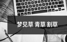 在睡梦中幻觉到绿油油的草地上草长茵茵,亲手挥动着草刀割草的迷幻场景