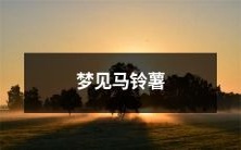 在梦中看到了马铃薯的情景和意义-探讨梦境中蔬菜的神秘象征意义