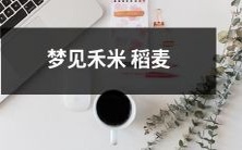 夜晚入梦,身临田野——探寻禾米柔软的秘密,看清被稻麦覆盖的田野奇妙之美