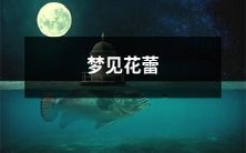 在梦中观赏绽放着自然而又婉约的花蕾,给你带来独特印象的美妙体验