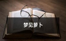 在梦中看见美味萝卜,引发的各种联想与解读