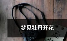 在梦中看到繁盛盛开的鲜艳牡丹花的奇妙体验