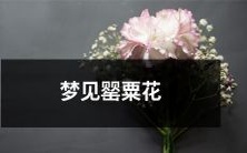 奇幻梦境中的罂粟花:探寻潜意识中深层意义的反映