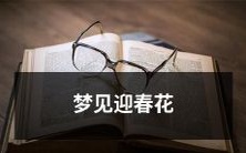 在晶莹的冬雪中,迎春花绽放:我在梦中领略了这美丽的景象