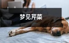 在梦中看到芹菜:探讨植物象征意义以及睡眠与梦境的关系