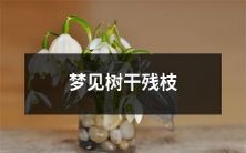 在梦境中观察到树干上的断裂残枝的经历