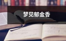 在春日的晨曦中沐浴,一场奇妙的梦境中,我遇见了郁金香花海的缤纷盛景!